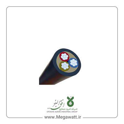 کابل کمپکت 0.6/1 کیلو ولت 3 با عایق PVC افق البرز